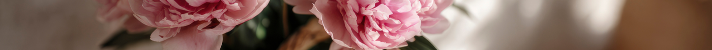 Peony Season in Bangkok: Why Everyone Loves Peonies Right Now | DP FLOWERS BANGKOK