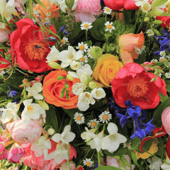Mixed Flowers Collection - DP FLOWERS BANGKOK