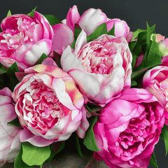 Peonies Collections - DP FLOWERS BANGKOK