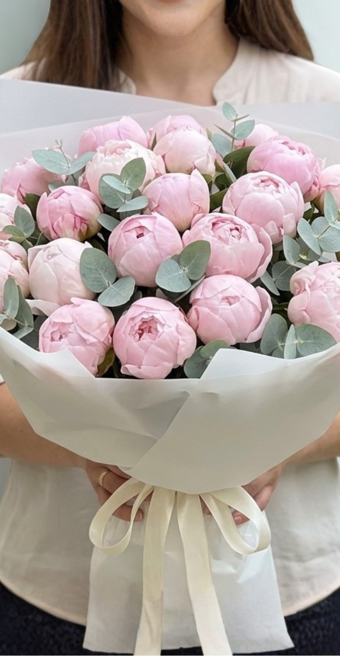 uxury grand pink peony bouquet with eucalyptus foliage, 15+ fresh blush peonies wrapped in white paper with ivory ribbon - premium seasonal flower delivery Bangkok | DP FLOWERS BANGKOK
