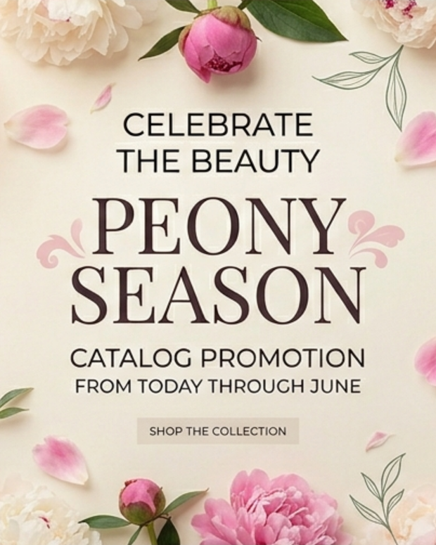 Celebrate peony season with luxurious peony bouquets in Bangkok. Available for a limited time only, with same-day flower delivery across Bangkok | DP FLOWERS BANGKOK
