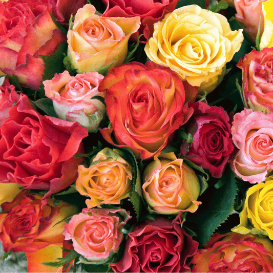 Rose Bouquets | Send Roses in Bangkok | Same-Day Flower Delivery – DP ...