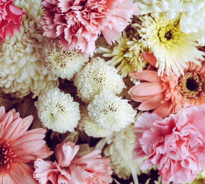 Soft pastel flowers close-up – DP FLOWERS BANGKOK contact us page background image.