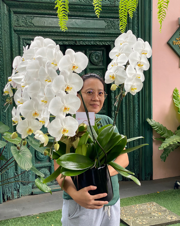 Happy woman holding a beautiful bouquet from DP FLOWERS BANGKOK – real customer review, surprised with flower delivery